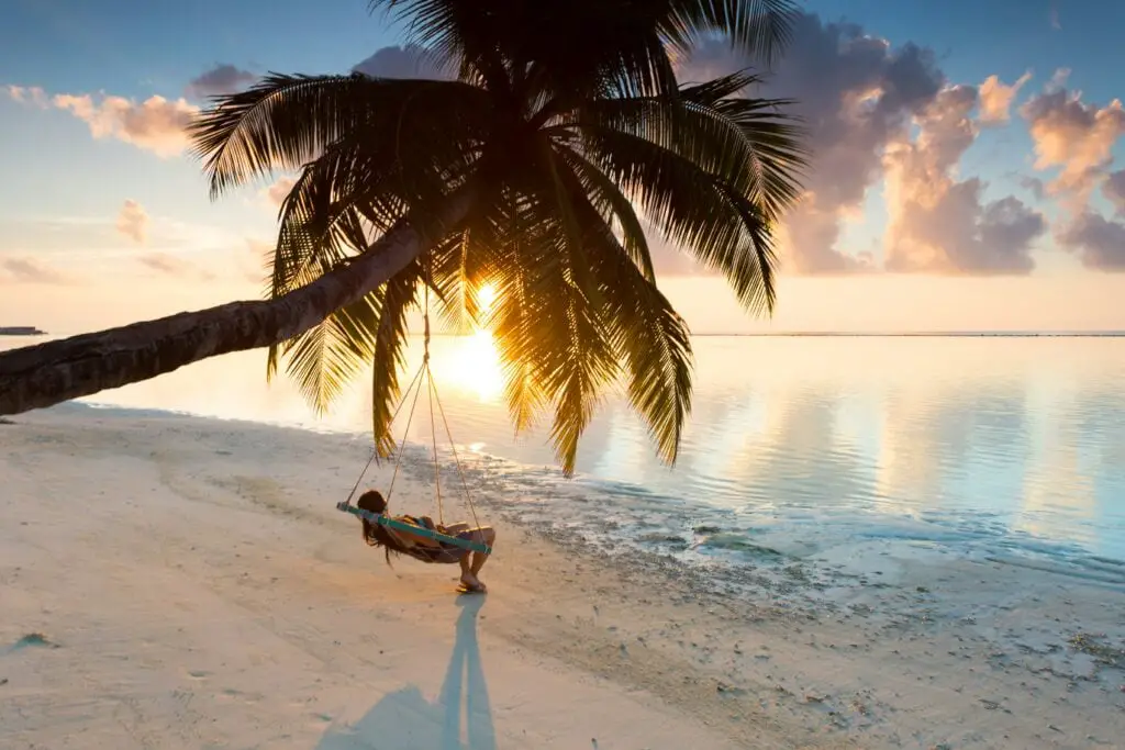 Beach sunset, palm trees