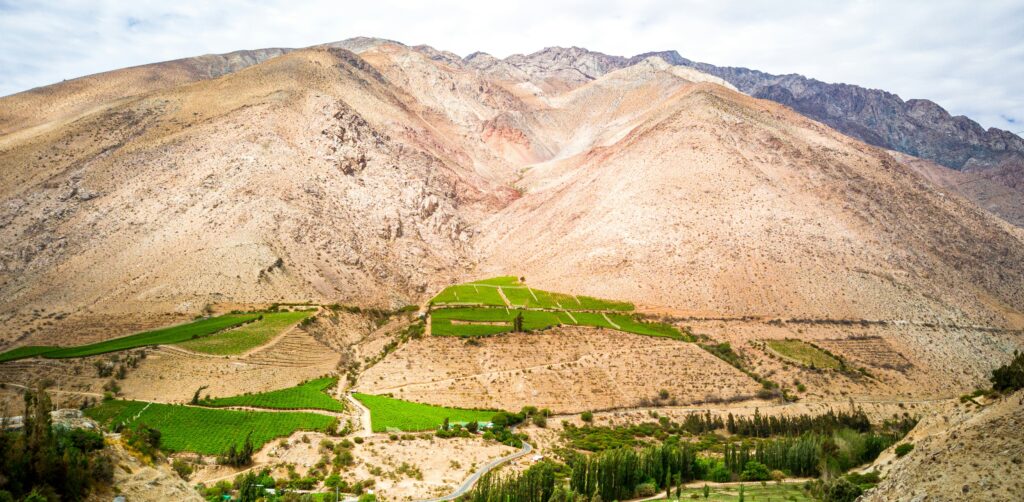 Elqui Valley, Chile Vineyards