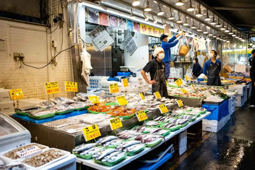 Tsukiji Fish Market Japan Tokyo