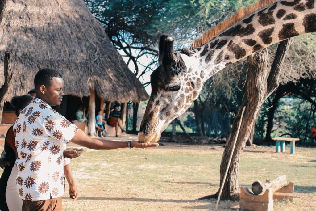 Kenya, Africa, Wildlife Safari