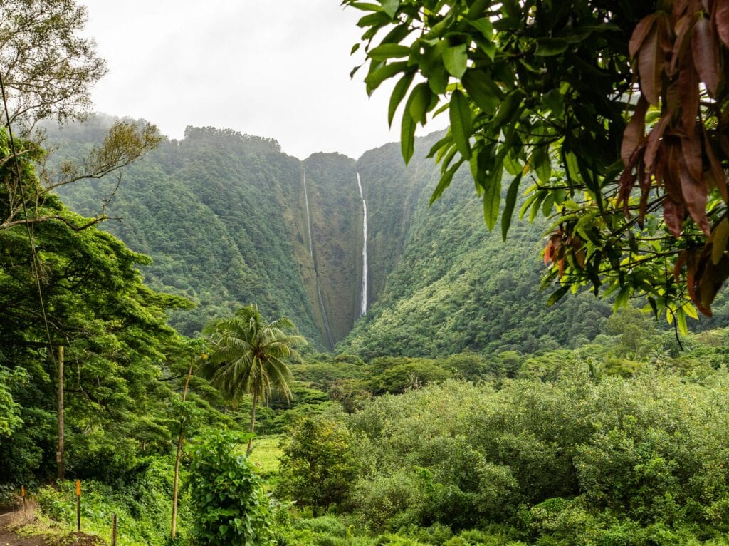 Waipi'o Valley, Big Island, Hawaii