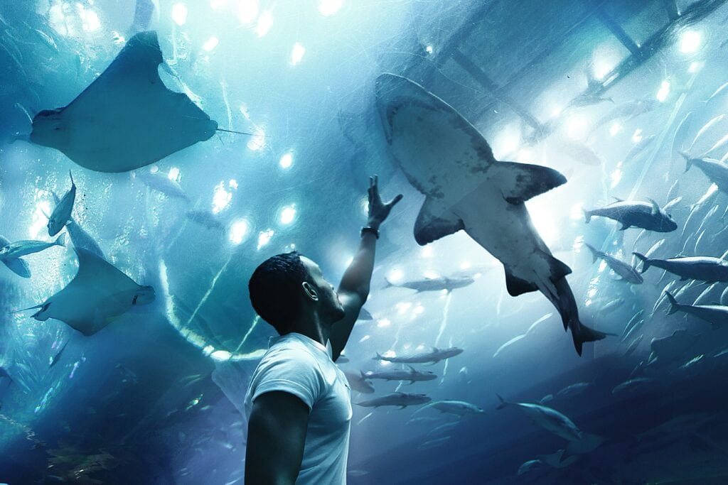Dubai Aquarium & Underwater Zoo