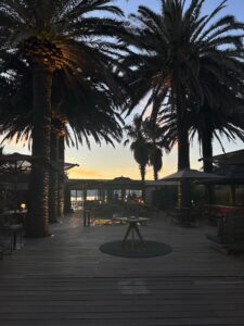 Relaxing outdoor beachside lounge with palm trees at sunset, perfect for vacations and tropical escapes.