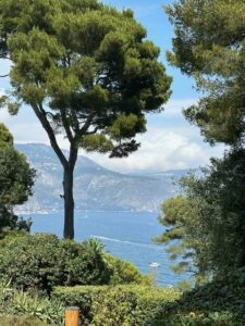 Lush trees overlooking blue sea with mountains in background, scenic coastal view.