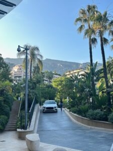 Lush tropical garden with palm trees and upscale buildings in the background, scenic mountain view in Monaco.