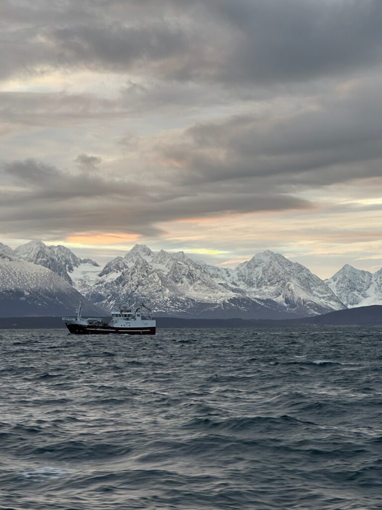 Snow-capped mountains with a boat on the ocean at sunrise in Norway.