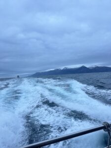 Vast ocean view with boat wake and mountain background, scenic maritime adventure, traveling sea voyage in Norway
